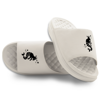Capricorn Zodiac Slides