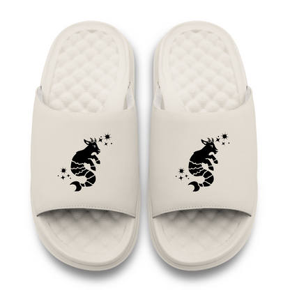 Capricorn Zodiac Slides