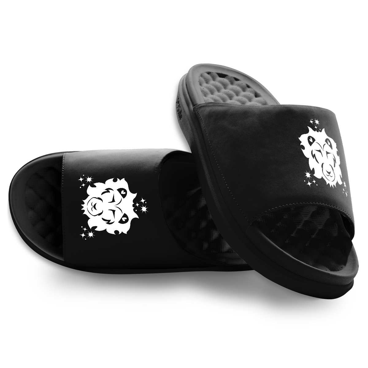 Leo Zodiac Slides