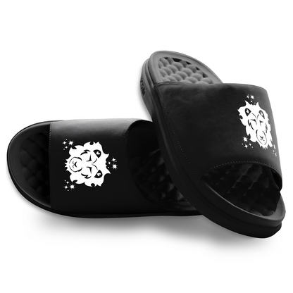 Leo Zodiac Slides