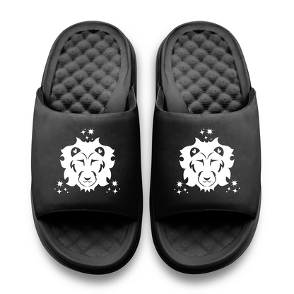 Leo Zodiac Slides