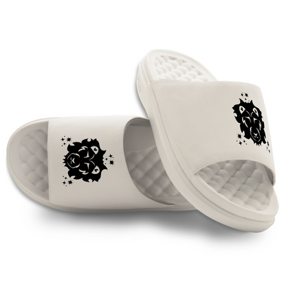Leo Zodiac Slides