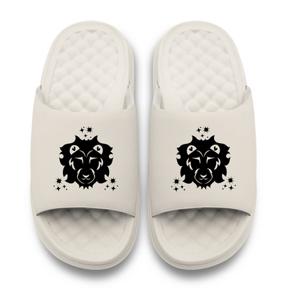 Leo Zodiac Slides