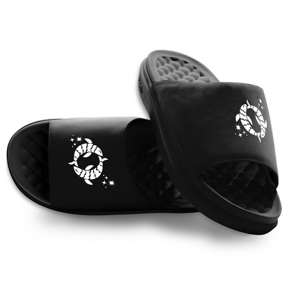 Pisces Zodiac Slides