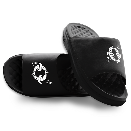 Pisces Zodiac Slides