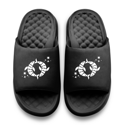 Pisces Zodiac Slides