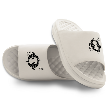 Pisces Zodiac Slides