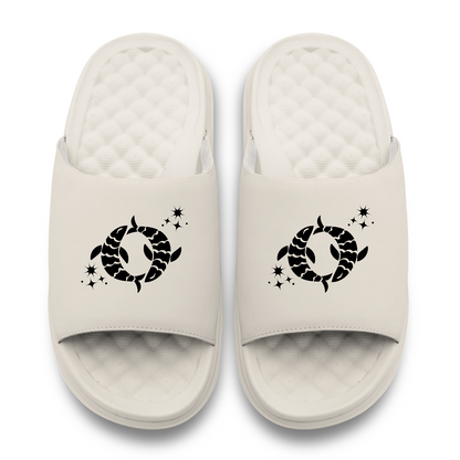 Pisces Zodiac Slides