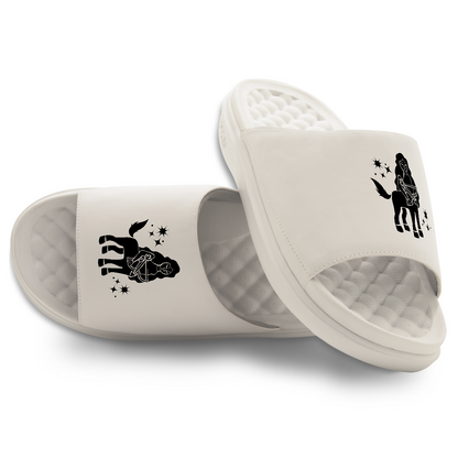 Sagittarius Zodiac Slides