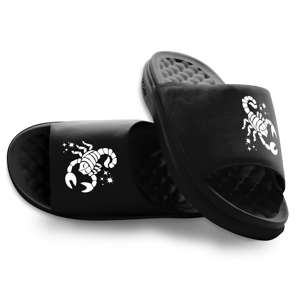 Scorpio Zodiac Slides
