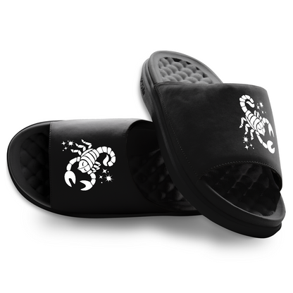 Scorpio Zodiac Slides