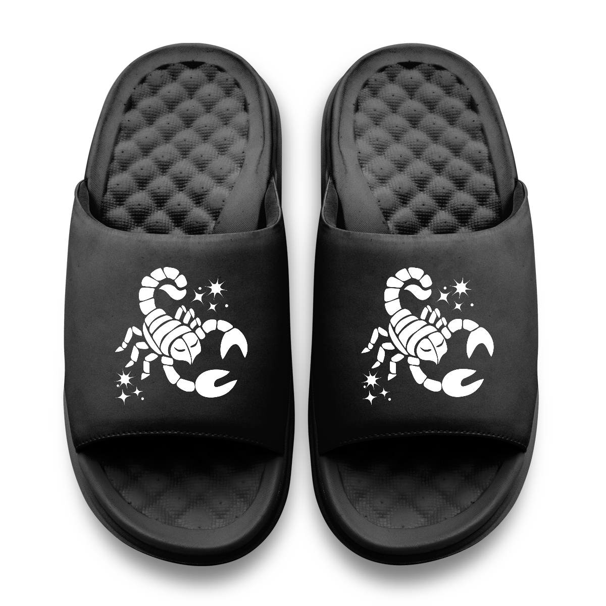 Scorpio Zodiac Slides