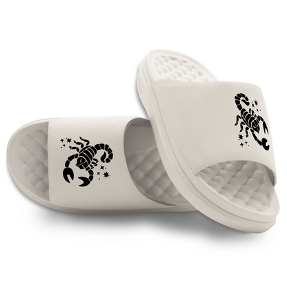 Scorpio Zodiac Slides