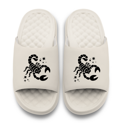 Scorpio Zodiac Slides
