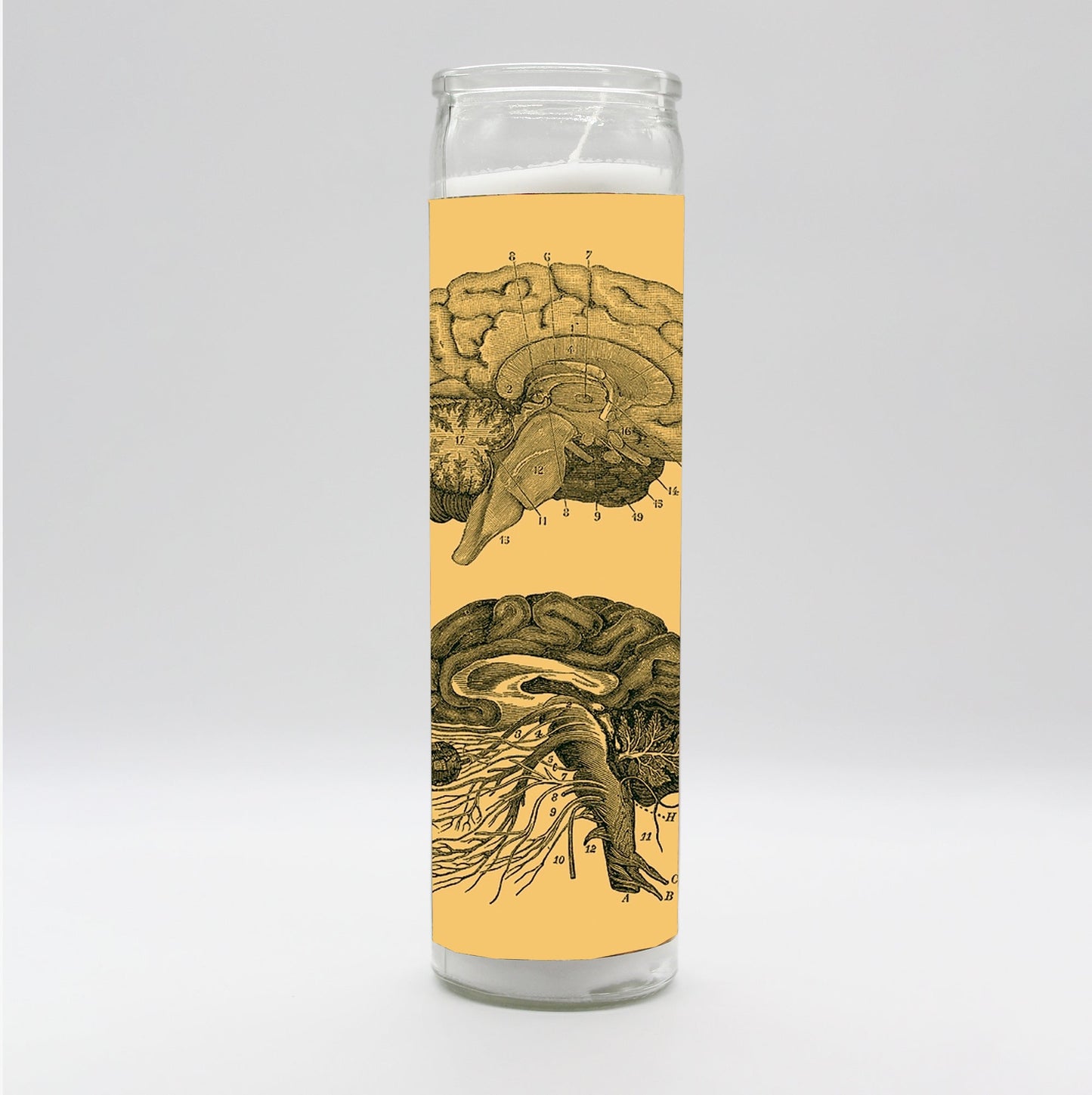 Saint Anatomy Brain Candle
