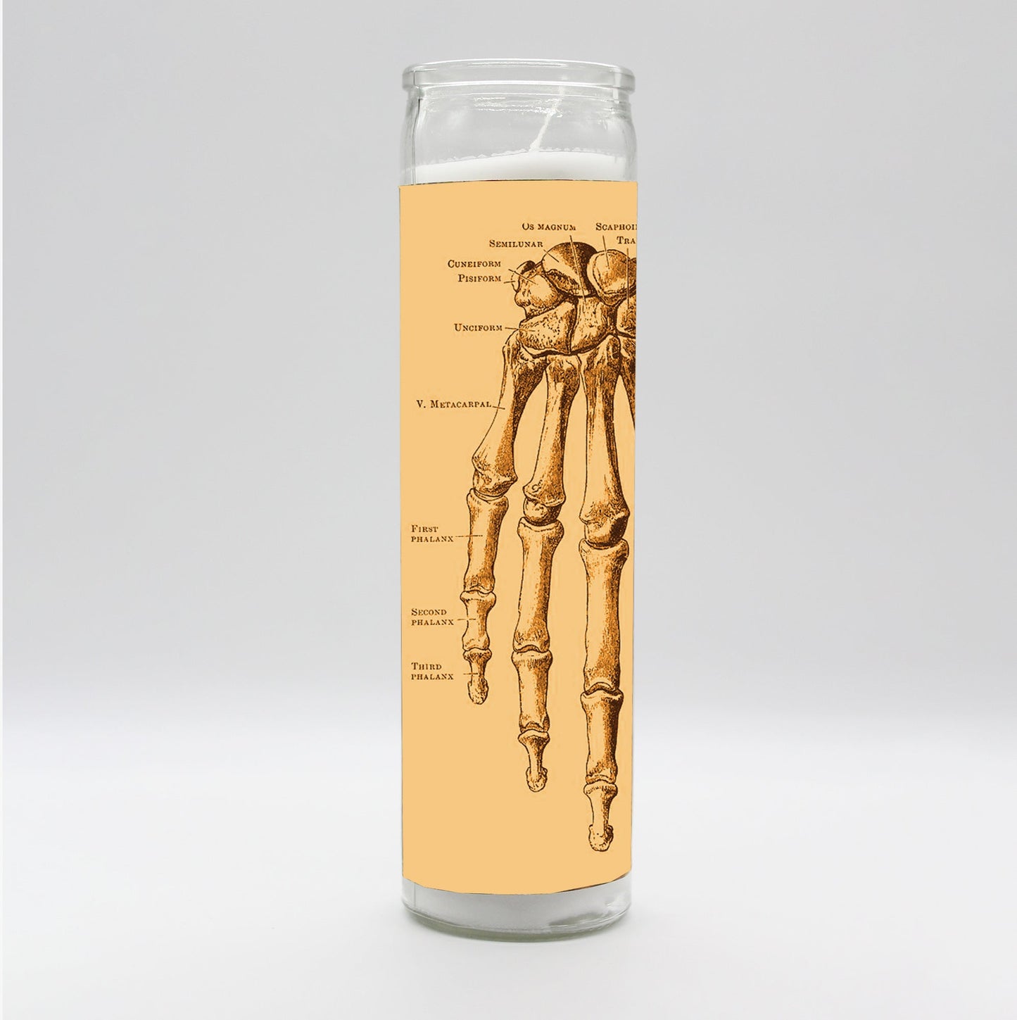 Saint Anatomy Design Candle Set