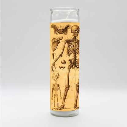 Saint Anatomy Skeleton Candle