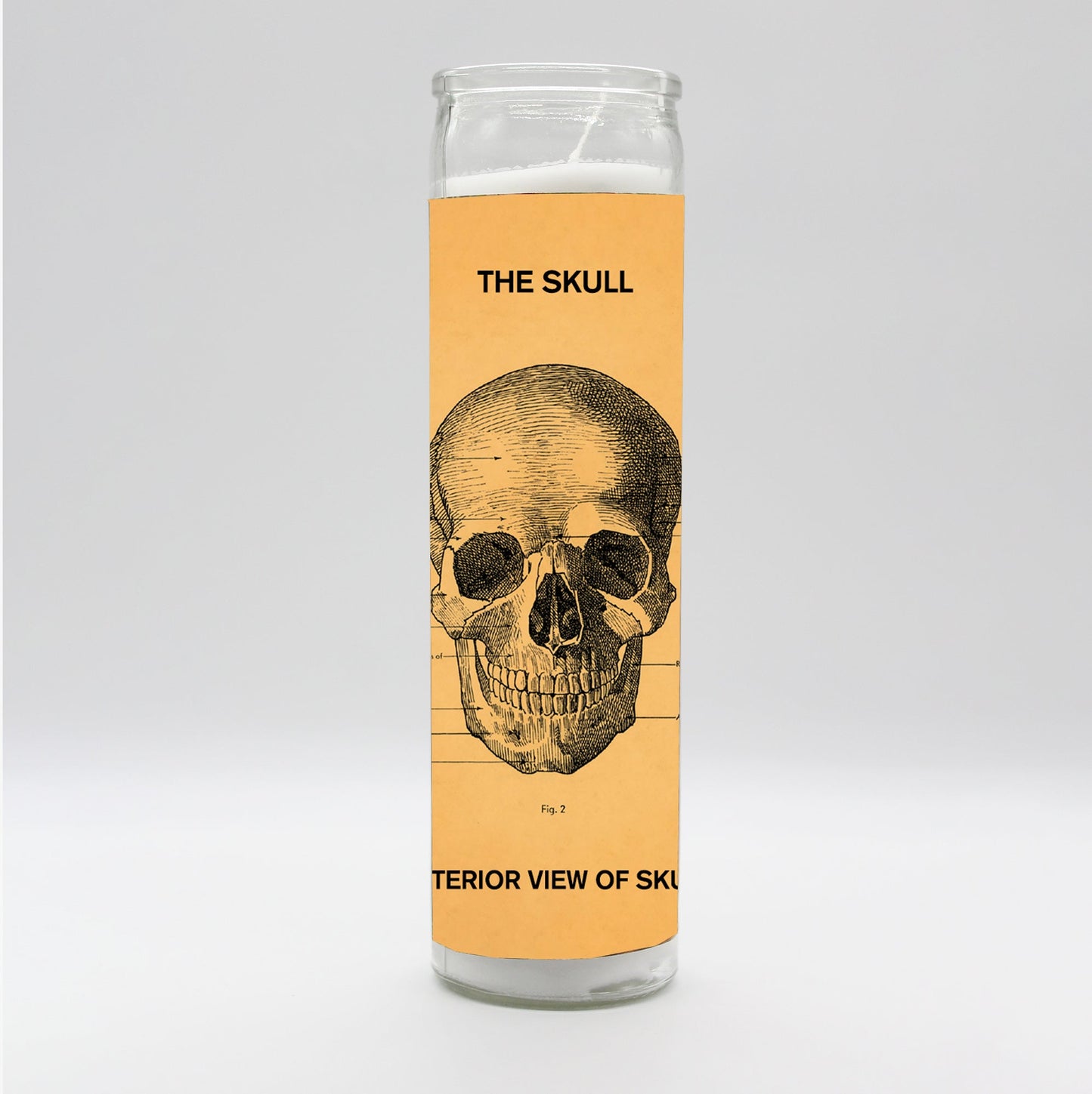 Saint Anatomy Skull Candle