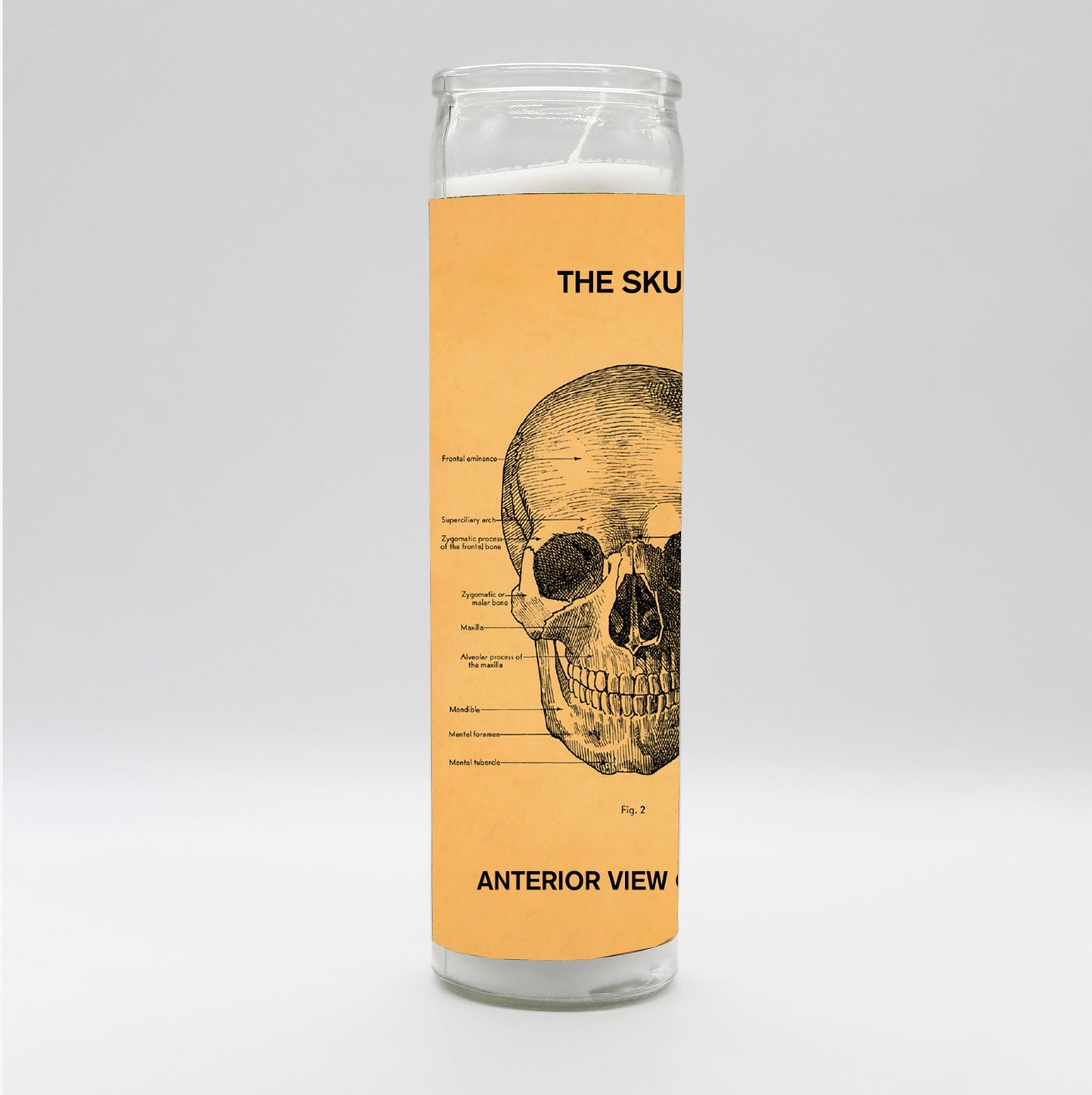 Saint Anatomy Skull Candle