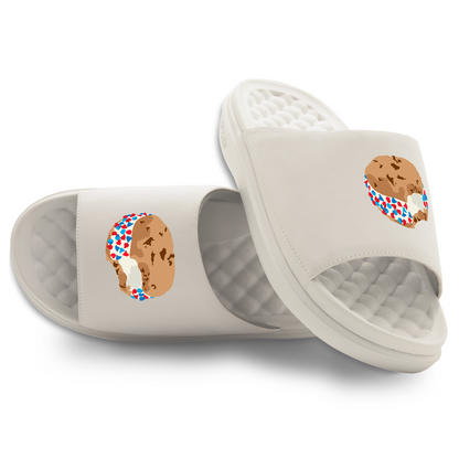 Chipwich Slides