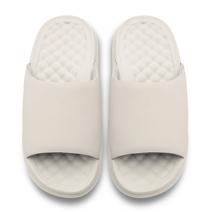 The Motive Slides