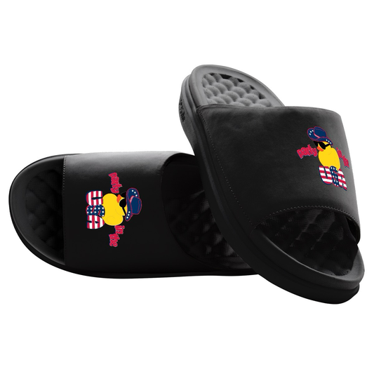 Party in the USA Rubber Duck Slides