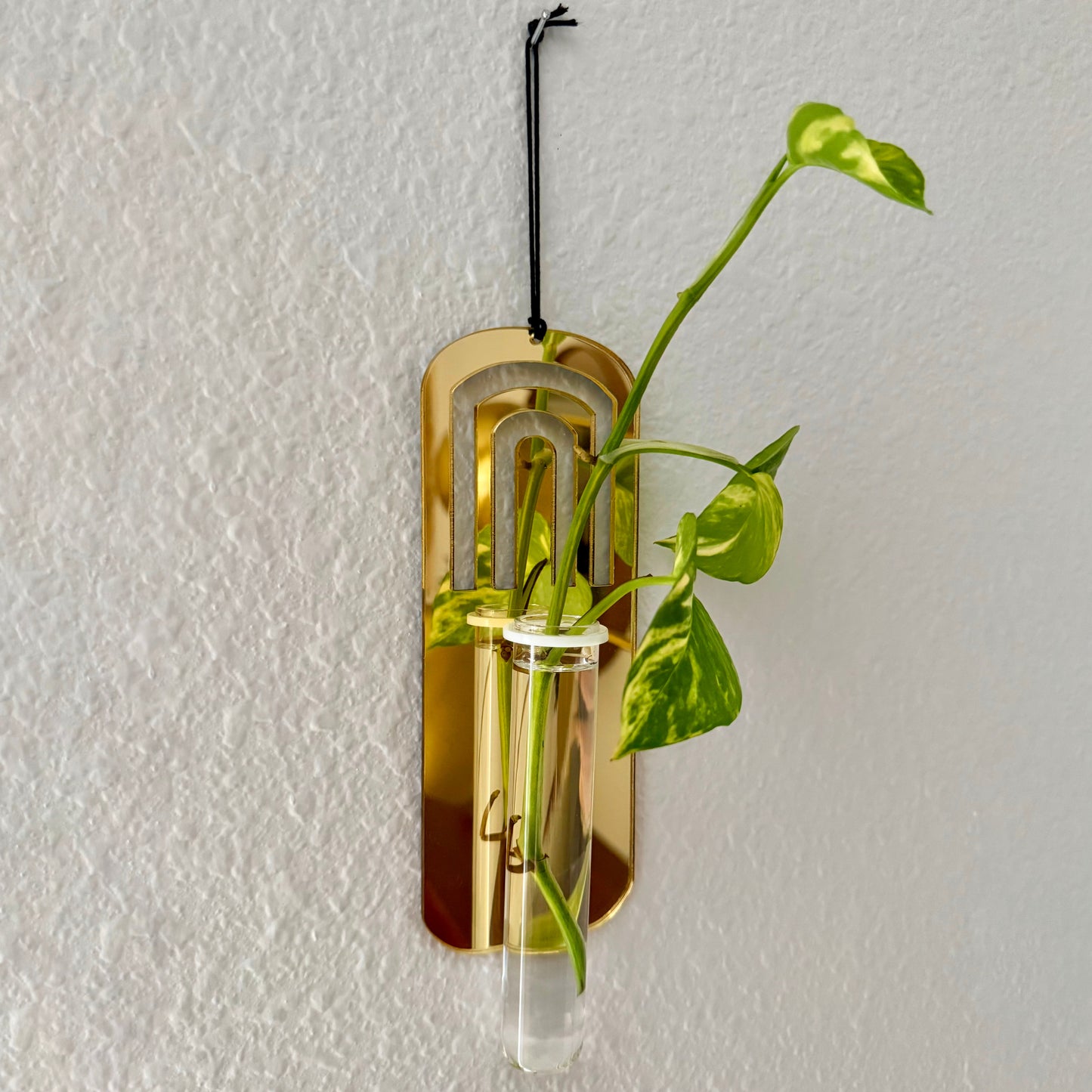 “Mirror Mirror on the..." Wall Propagation Station