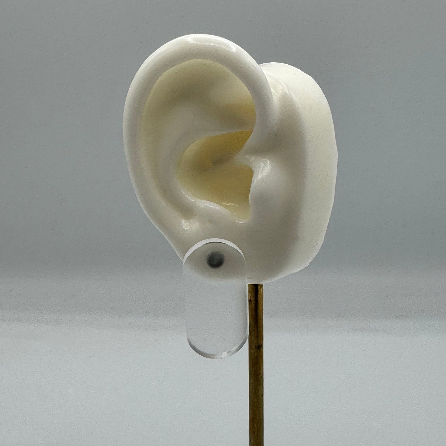 Cool for the Summer Stud Earrings (Multicolor)