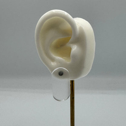 Cool for the Summer Stud Earrings (Multicolor)